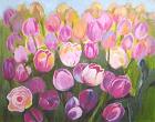 Tulpenwei (te koop)